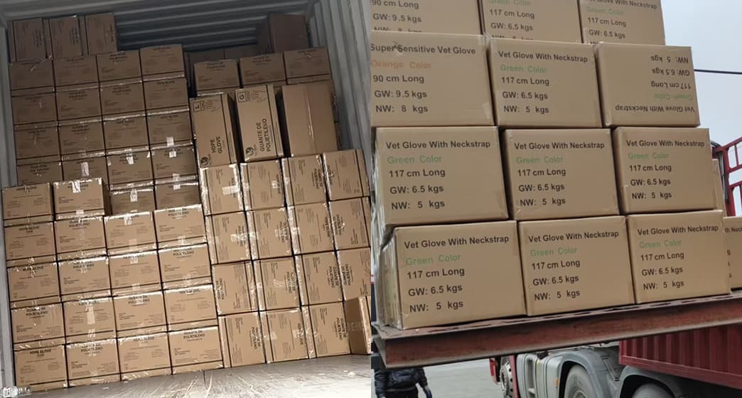 Shipping